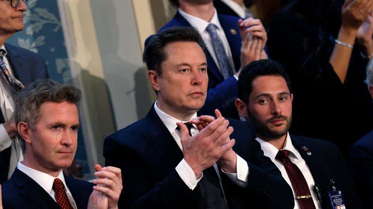 Image for Elon Musk is 'willing to serve' in Donald Trump's cabinet