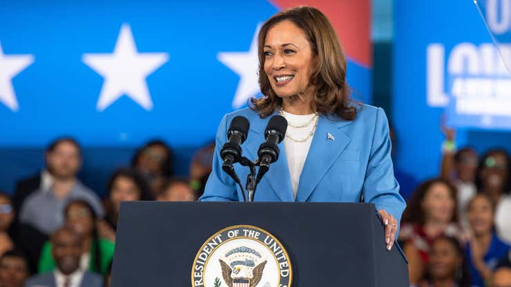 Image for Kamala Harris' grocery price gouging ban? No economist on earth will support it, strategist says