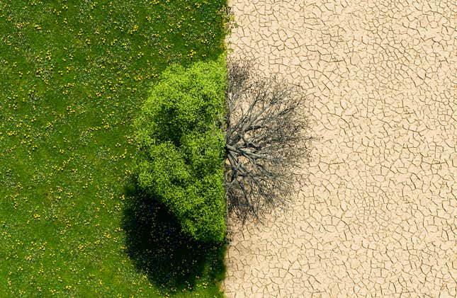 Image for article titled 4 ways AI could save the world — and 4 ways AI could destroy the world