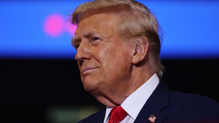 Image for Trump Media stock is in a free fall